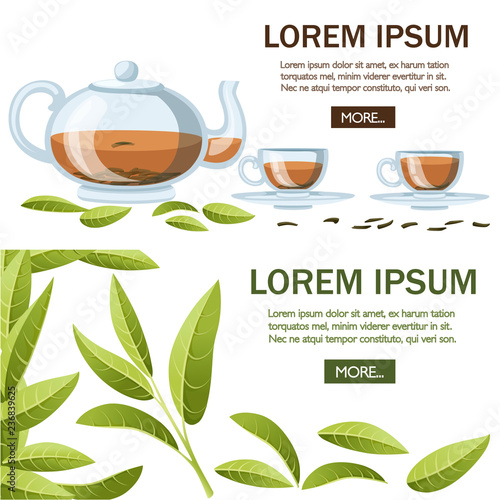 Fresh green tea leaves and pile dry tea. Transparent glass teapot and cups with black tea. Green tea for design, advertising and packaging. Flat vector illustration on white background