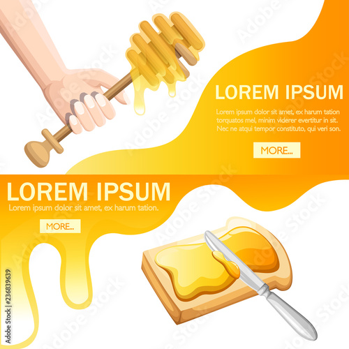 Hand hold wooden honey dipper. Honey stick, flowing honey. Kitchen utensil used to collect honey. Bread with honey and stainless knife. Flat vector illustration isolated on white background