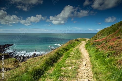 Coast path near Hartland quay in North Devon , England photo