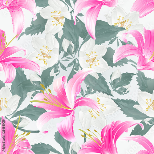 Seamless texture Spring flowers Lily pink Daylily and jasmine nature background vintage vector illustration editable hand draw