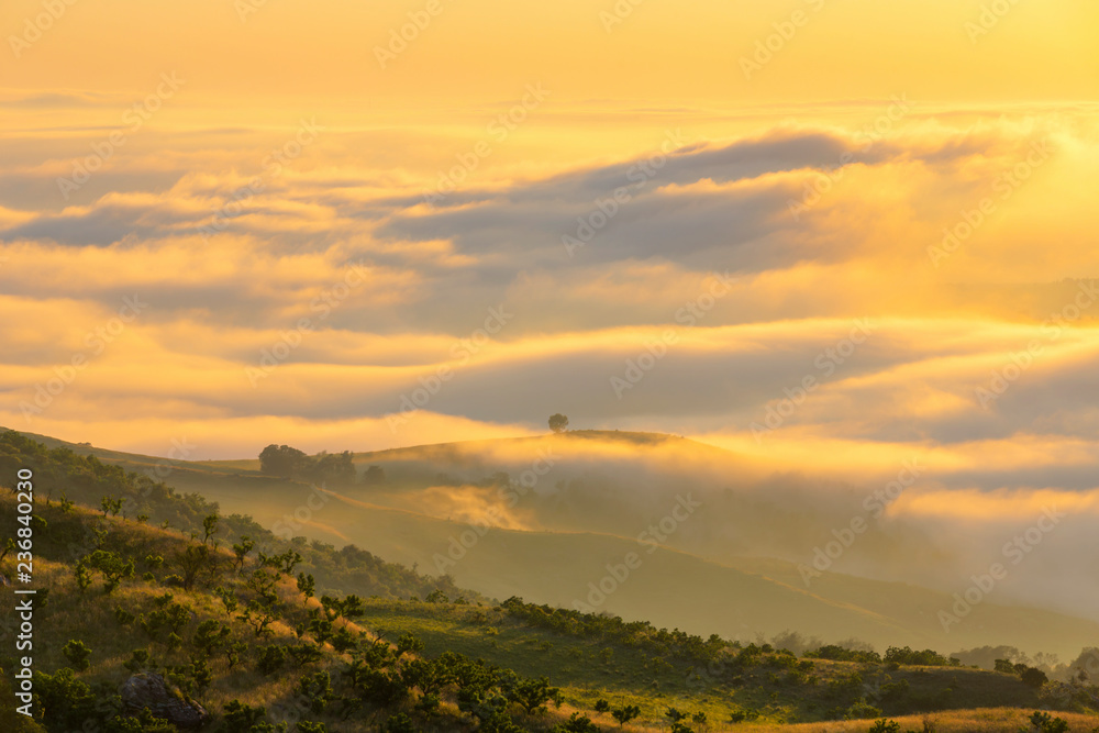 Yellow sunlight on low clouds in the valley