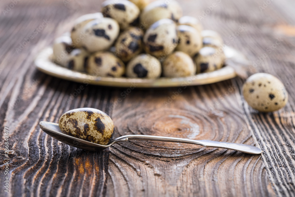 organic quail eggs organic quail eggs