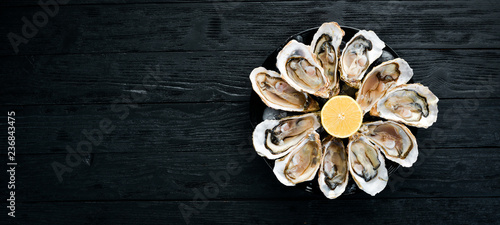 Fresh oysters in a plate of ice and lemon. Seafood. Top view. Free copy space.