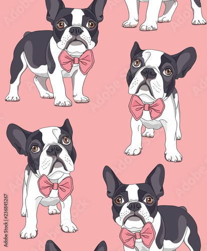 Seamless pattern. French Bulldog with a bow tie on a pink background. Vector illustration.