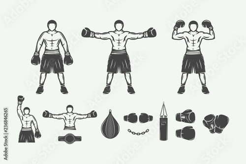 Boxing and martial arts logo badges, labels and design elements in vintage style. Vector illustration