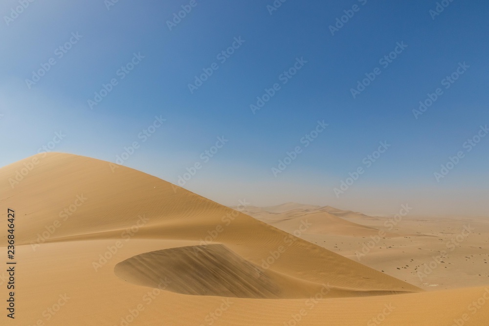 Namib desert panorama