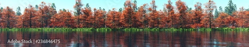 Panorama of the forest over the lake, trees over the water, 