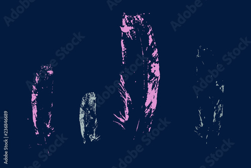 Set of vector bird feathers imprints. Design elements. Bird feathers stamp