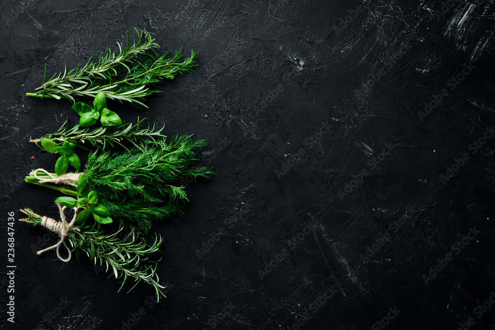 Fresh green spices and herbs. Dill, parsley, rosemary. On a black stone background. Top view. Free copy space. Fresh green spices and herbs. Dill, parsley, rosemary. On a black stone background. Top view. Free copy space.