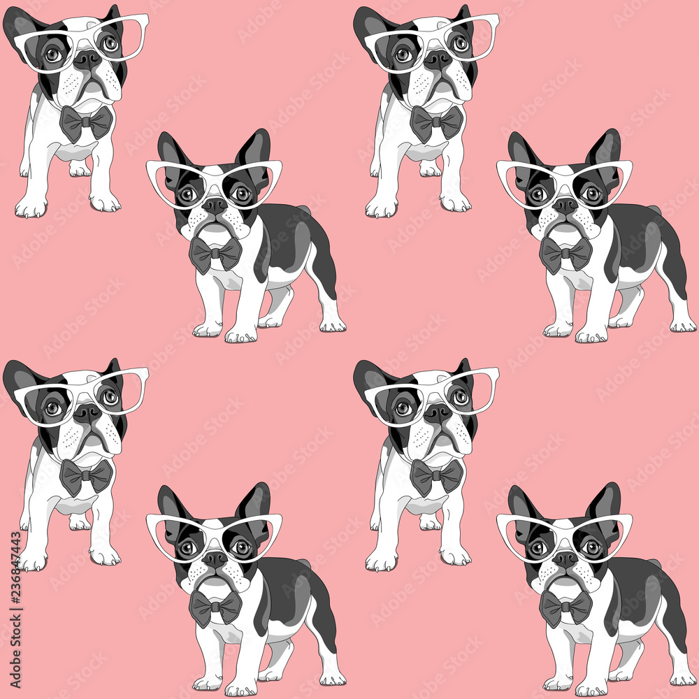 Seamless pattern with a black and white Cartoon French Bulldog puppies in a glasses on a pink background. Vector illustration. Seamless pattern with a black and white Cartoon French Bulldog puppies in a glasses on a pink background. Vector illustration.