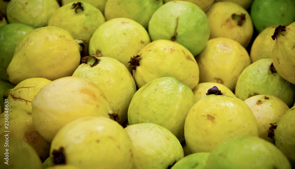 Fresh guava fruit Fresh guava fruit