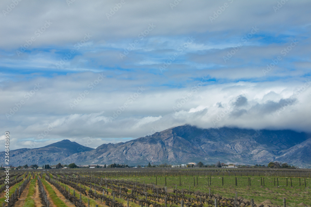 Naklejka premium South Africa