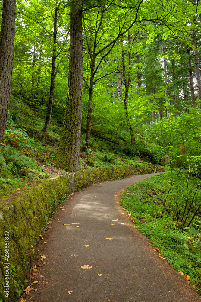 A hiking trail in the Columbia River Gorge, Oregon, USA