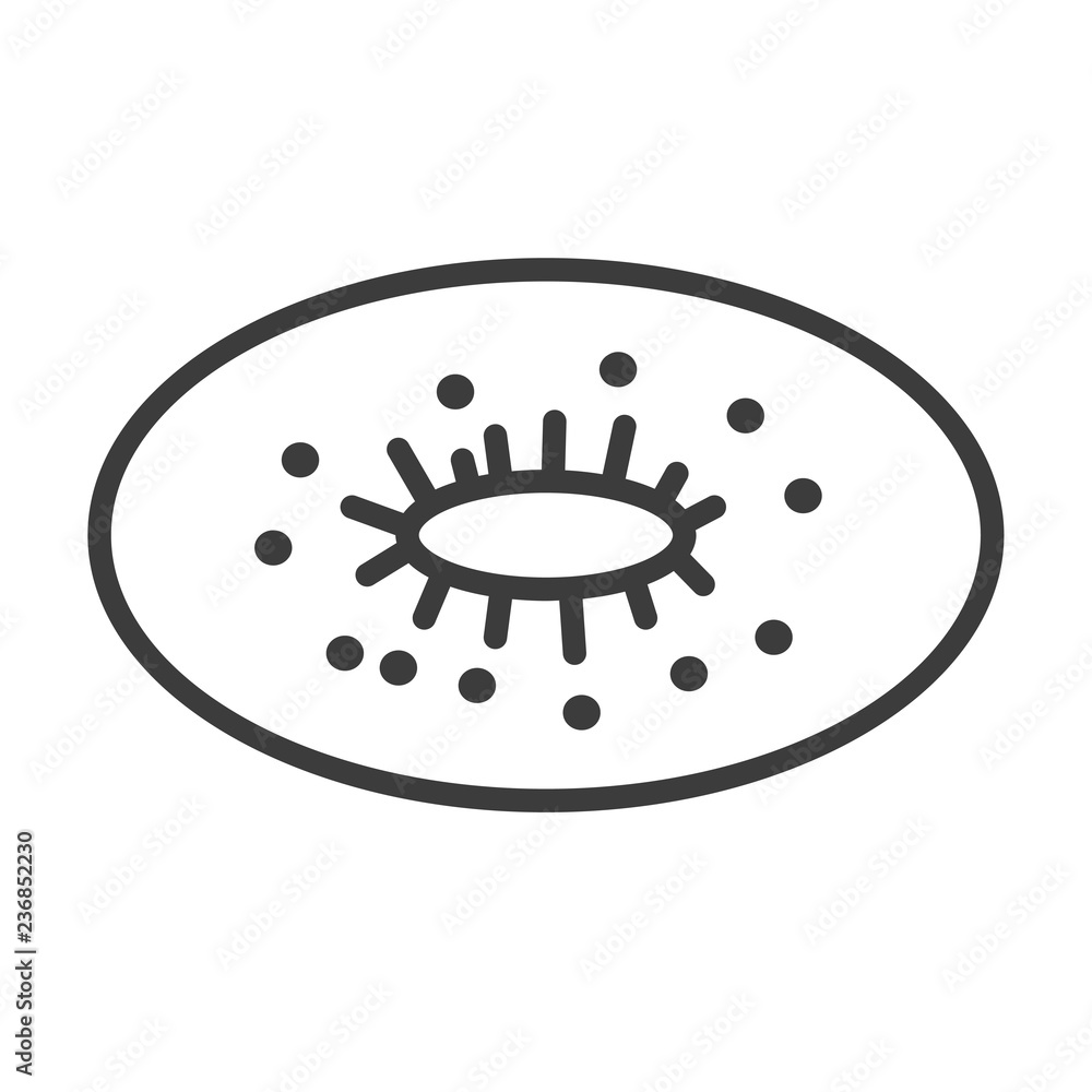 Kiwi vector icon in modern flat style isolated. Kiwi can support is good for your web design. Kiwi vector icon in modern flat style isolated. Kiwi can support is good for your web design.