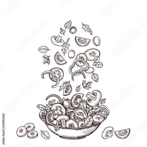 Hand drawn salad. Fresh vegetable slices falling to salad-bowl. Green salads diet and healthy food vector sketch concept. Fresh salad sketch, vegetarian healthy vegetable illustration