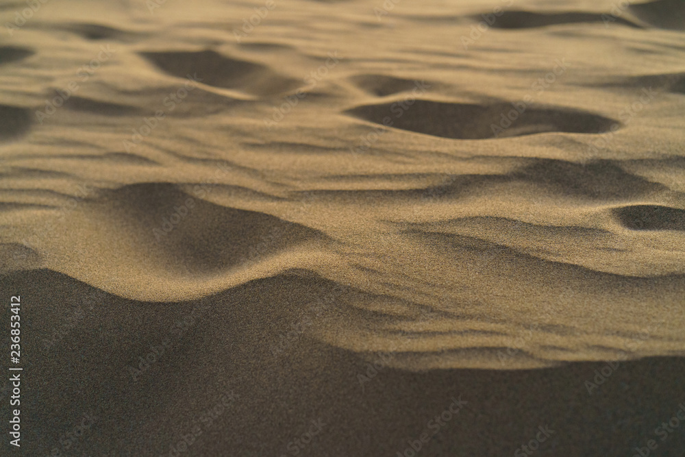 Fototapeta premium Sandy World - Maspalomas (Gran Canaria) Dunes