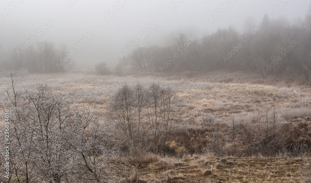 First frosty morning