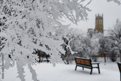  winter park with church in background