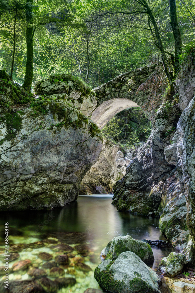 Stone bridge over creek in a forest