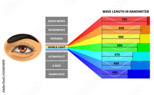 Visible light spectrum. Color waves length perceived by human eye. Rainbow electromagnetic waves. Educational school physics diagram. Scheme nanometer, rays electromagnetic spectrum illustration