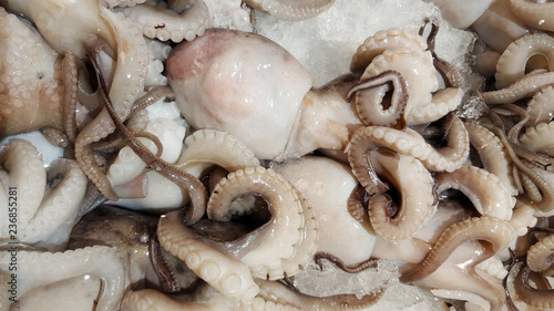 Fresh octopus on ice for sale