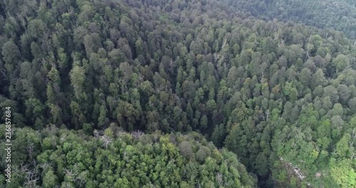 Beautiful mountains in Abkhazia. A video of nature. photo