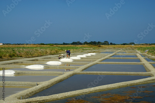 salines en pleine exploitation