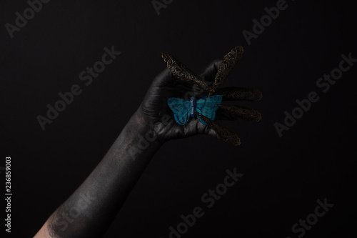 Butterfly on Hand
