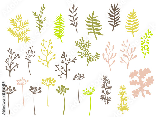 Willow and palm tree branches, fern twigs, lichen moss, mistletoe, savory grass herbs, dandelion flower vector illustrations set. Green brown branches, twigs floral collection isolated on white