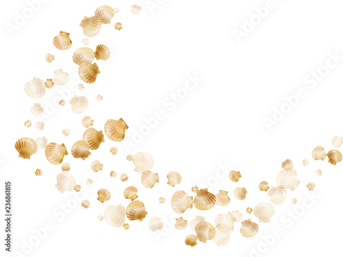 Gold seashells vector, golden pearl bivalved mollusks. Exotic scallop, bivalve pearl shell, marine mollusk isolated on white wild life nature background. Chic gold sea shell design.