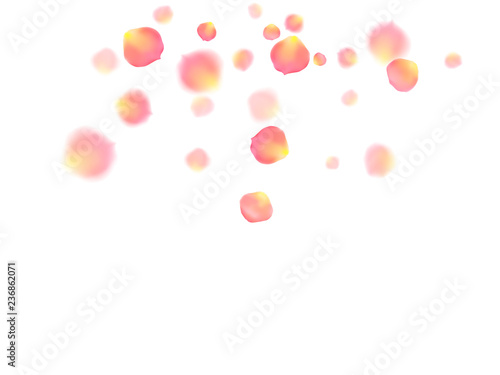 Rose gold petals flying cosmetics vector background.