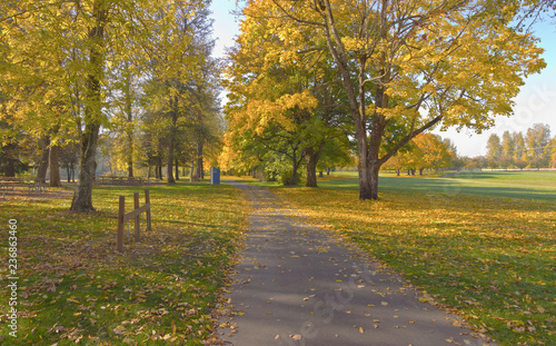 Golden Autumn in Blue lake park Oregon.