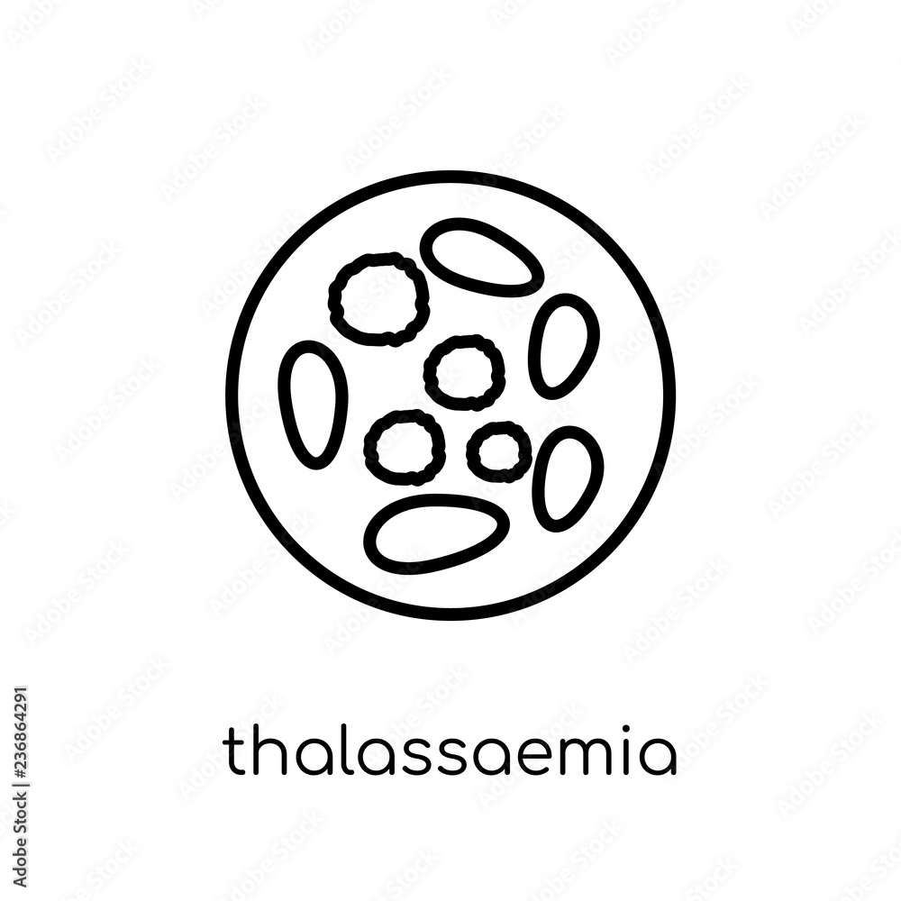 Thalassaemia icon. Trendy modern flat linear vector Thalassaemia icon on white background from thin line Diseases collection