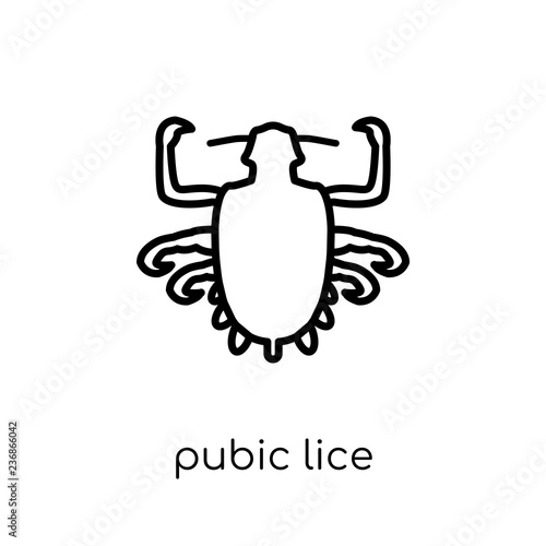 Pubic lice icon. Trendy modern flat linear vector Pubic lice icon on white background from thin line Diseases collection