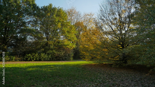 Herbst im Park bei Sonnenschein