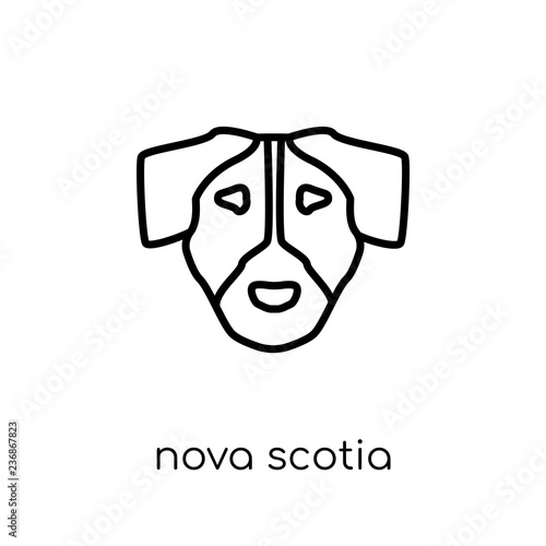 Nova Scotia Duck Tolling Retriever dog icon. Trendy modern flat