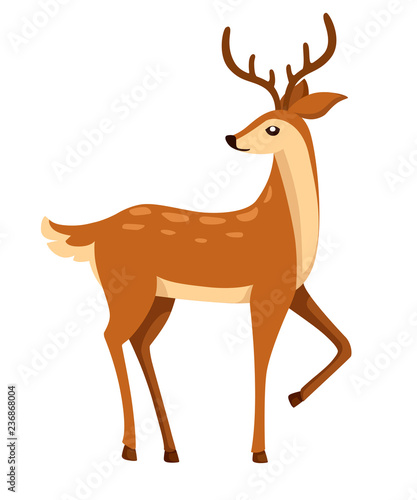 Brown deer. Hoofed ruminant mammals. Cartoon animal design. Cute deer with antlers. Flat vector illustration isolated on white background