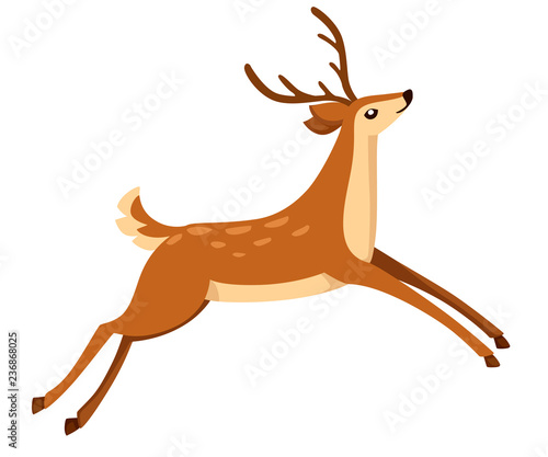 Brown deer run and jump. Hoofed ruminant mammals. Cartoon animal design. Cute deer with antlers. Flat vector illustration isolated on white background