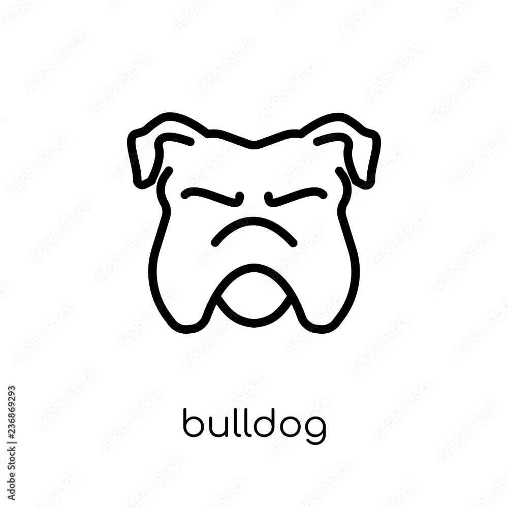 Bulldog icon. Trendy modern flat linear vector Bulldog icon on white background from thin line dogs collection Bulldog icon. Trendy modern flat linear vector Bulldog icon on white background from thin line dogs collection