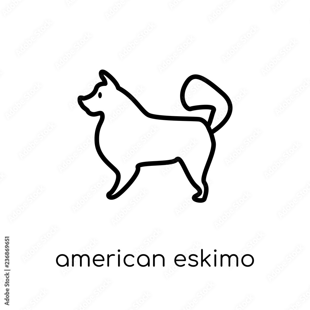 American Eskimo Dog dog icon. Trendy modern flat linear vector American Eskimo Dog dog icon on white background from thin line dogs collection