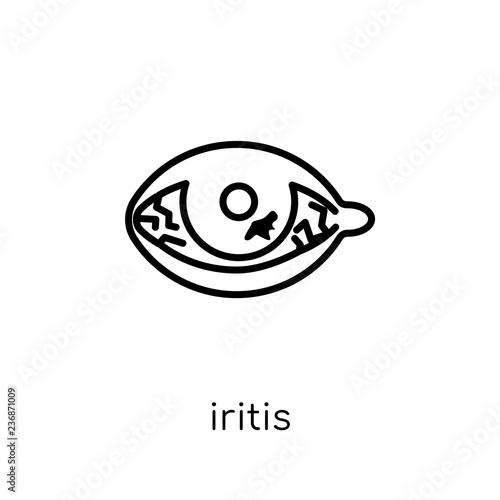 Iritis icon. Trendy modern flat linear vector Iritis icon on white background from thin line Diseases collection