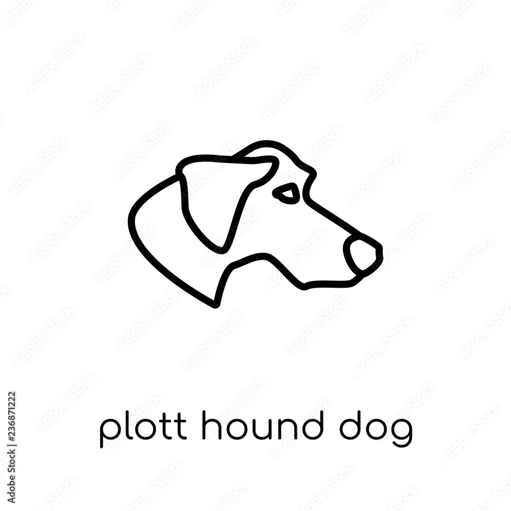 Plott Hound dog icon. Trendy modern flat linear vector Plott Hound dog icon on white background from thin line dogs collection