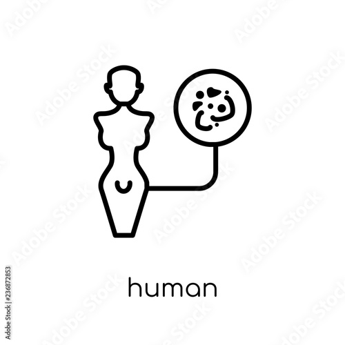 Human papillomavirus icon. Trendy modern flat linear vector Human papillomavirus icon on white background from thin line Diseases collection