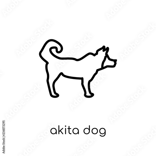 Akita dog icon. Trendy modern flat linear vector Akita dog icon on white background from thin line dogs collection