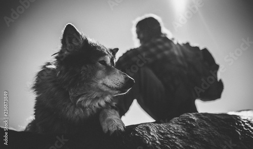 Dog/wolf and human in the wild