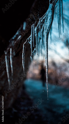 Icicles on rock