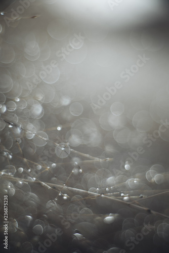 Bokeh lights from dew on grass