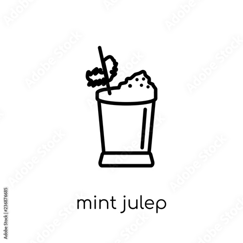 Mint Julep icon from Drinks collection.