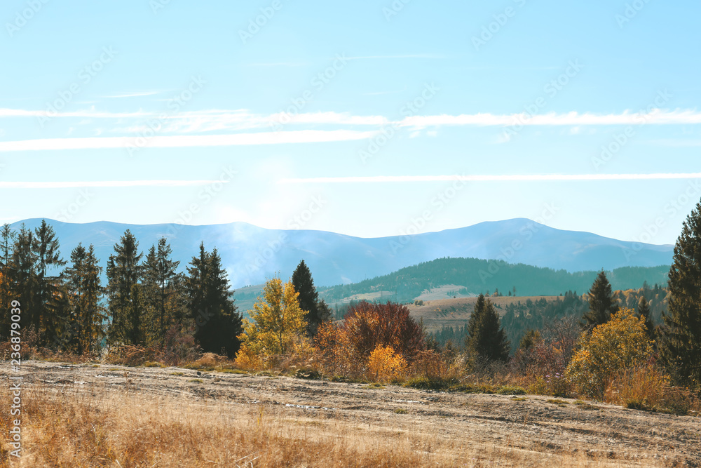 Picturesque landscape with beautiful forest and mountains