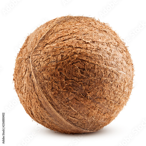 coconuts whole, isolated on white background, clipping path, full depth of field